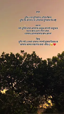 #সব জেনে শুনেই তুমি হারিয়ে গেলে বাবা...আর কি কোর জন্মেই পাবো না...এতো বাবা ডাকটা এতো অল্প সময়ের জন্য ছিলো আমার জীবনে ভাবিও নাই..🥀Foryou Tiktok video
