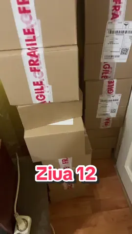 Ziua 12 in care va prezint comenzile noastre ✌🏻 #fy #fyp #viral #mysterybox #smartwatch 