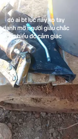 xử cho phép #xuhuongtiktok 