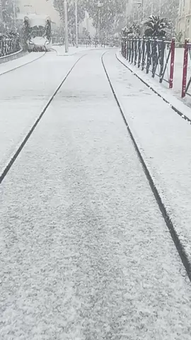 وسط مدينة سطيف الان  خيرات كبيرة والحمد لله  اللهم صيبا نافعا 🌨️🥶🌨️❄️🥶🥶🥶