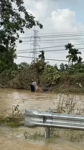 น้ำลงแล้วเชือดวัวก่อน หร่อยจริงพี่หลวง 😂 