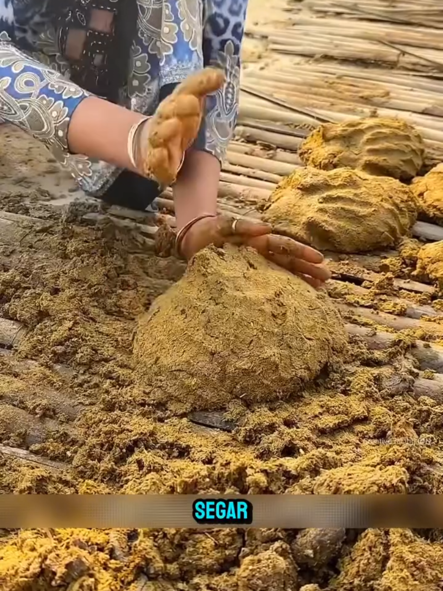 Ternyata Kotoran Sapi Bisa Jadi Bumbu Rempah 