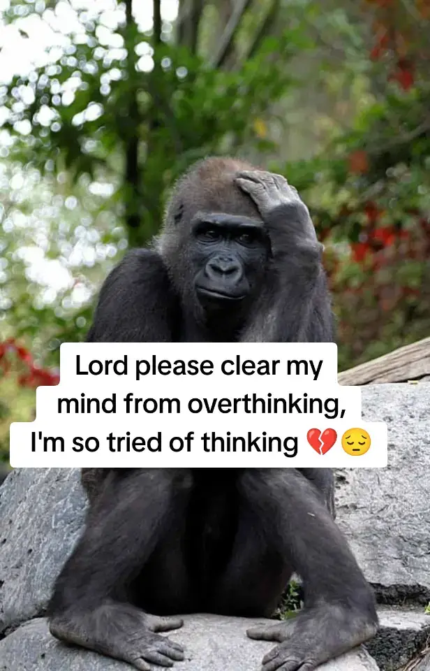 #creatorsearchinsights #fyp #viral #views #motivationalquotes 