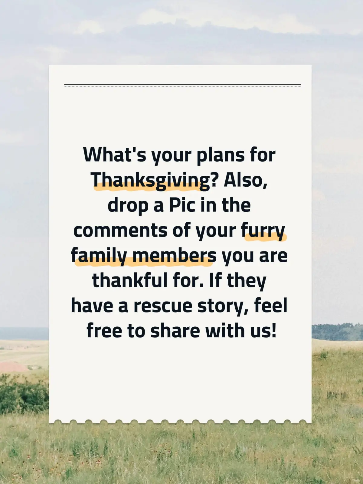 Show me your furry family members who you are thankful for in the comments. I love seeing people's pets and hearing their stories. #share #pets #pictures #comment 