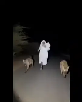 #run#Run#f#العرب #اكسبلور 