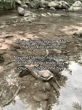 #minhquy_01 #ddnxuhuong 