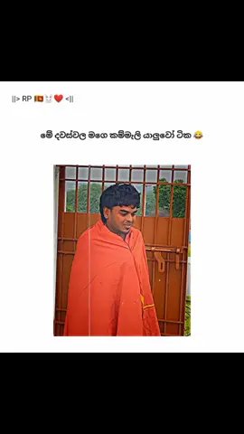 ඔයාගෙ කම්මැලි යාලුවෝ ටිකට පේන්න Mention කරන් යන්න 😂👍 . . . . #coolday #badweather #statusvideo #srilanka #rp_official_page 