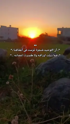 نـسأل اللـه الـثـبات عـلى الـتـوحـيـد 📕🖋️ . . . . . #مسلم #موحد #الدمشقي #مخيم #الهول 