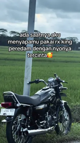 🥰🥰#rxkingroster #rxking #rxking135cc #2stroke 