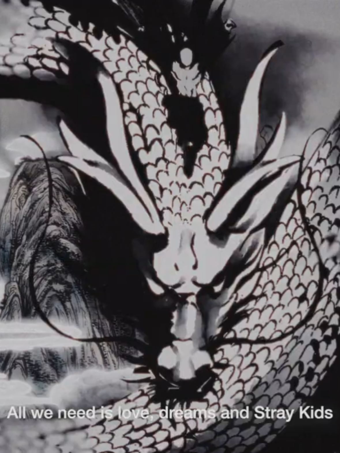 DIVINE MV IS OUT NOW #straykids #straykidsstay #StrayKids #skz #straykidsedit 