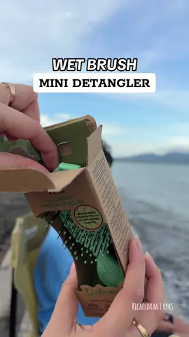 Wet brush mini detangler #wetbrushminidetangler #minidetangler #hairbrush 