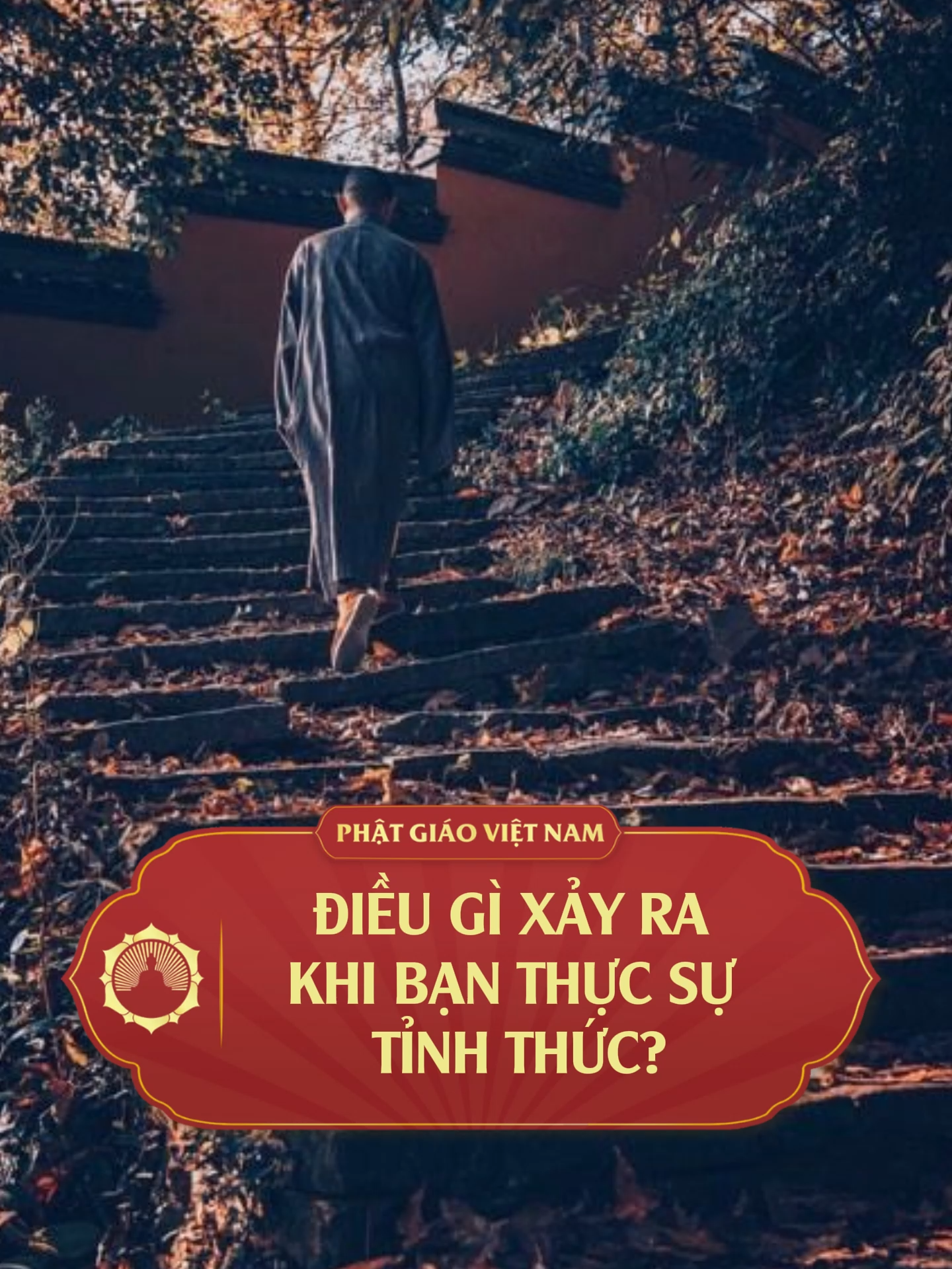 ĐIỀU GÌ XẢY RA KHI BẠN THỰC SỰ TỈNH THỨC #phatphapnhiemmau #phatgiaovietnam #loiphatday #xuhuong #phatgiao