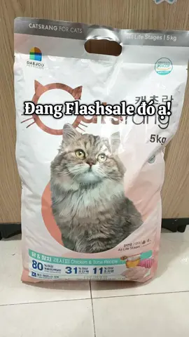 Hạt Hàn Quốc Cats rang cho mèo mọi lứa tuổi #catsrang  #catrang  #hatchomeo  #thucanchomeo  #hatcatsrang 