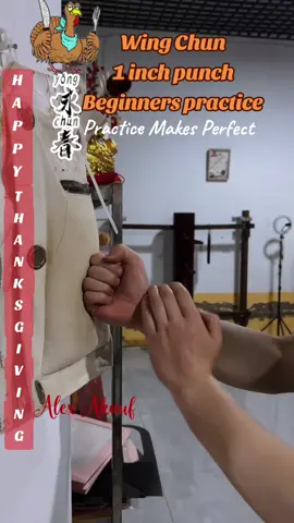 Wing Chun 1 inch punch beginners practice #wingchun #vingtsun #wingtsun #wingchunpunch #1inchpunch 