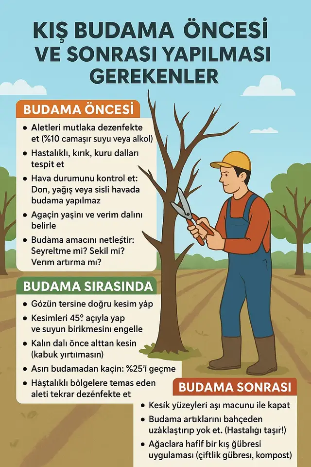 ✂️ BUDAMA ÖNCESİNDE NELER YAPILMALI? 	•	Alet ve ekipmanları mutlaka %10 çamaşır suyu veya alkol ile dezenfekte et. Hastalık bulaşmasını önleyen en önemli adımdır. 	•	Ağaç üzerinde kırık, kuru, hastalıklı dalları önceden tespit ederek planlama yap. 	•	Don, yağış ve sisli hava gibi olumsuz hava koşullarında kesinlikle budama yapılmaz. 	•	Ağacın yaşı, verim dalı ve gelişim şekli belirlenmeli. Her ağacın budama ihtiyacı farklıdır. 	•	Budama amacı net olmalı: Seyreltme mi? Şekil budaması mı? Verim artırma mı? ⸻ 🌿 BUDAMA SIRASINDA DİKKAT EDİLMESİ GEREKENLER 	•	Kesimleri gözün ters yönüne doğru yapmak su birikimini engeller. 	•	Dallar mutlaka 45° açıyla kesilmeli. 	•	Kalın dallarda önce alttan kesim yapılmalı ki kabuk yırtılması yaşanmasın. 	•	Ağacın yıllık gelişimini bozacak aşırı budamadan kaçın. %25’i geçme. 	•	Hastalıklı dala temas eden aletin tekrar dezenfekte edilmesi şarttır. ⸻ 🍁 BUDAMA SONRASINDA MUTLAKA YAPILMASI GEREKENLER 	•	Kesilmiş alanların tamamı aşı macunu ile kapatılmalı. Hem hastalık hem su kaybı engellenir. 	•	Budama sırasında çıkan dallar bahçede kesinlikle bırakılmamalı, uzaklaştırılıp yok edilmelidir. 	•	Ağaçların daha güçlü girmesi için hafif bir kış dönemi organik gübre uygulaması yapılabilir (çiftlik gübresi, kompost vb.). 	•	Gövde kireçlemesi ile hem soğuk hem haşere zararı azaltılır. 	•	Bahar öncesi yapılacak bakırlı ilaçlama mutlaka planlanmalıdır. ⸻ 🎯 Bu içerik neden önemli? Doğru budama; ✔️ Daha güçlü sürgün ✔️ Daha kaliteli meyve ✔️ Daha az hastalık ✔️ Daha dengeli taç yapısı ✔️ Daha uzun ömürlü ağaç demektir. Kış mevsimi gelmişken, bu bilgiler tüm meyveciler için altın değerinde. ⸻ ❓ Sen kış budamasını ne zaman yapıyorsun? Bahçende uyguladığın yöntemleri, dikkat ettiğin noktaları veya yaşadığın sorunları yorumlara yazabilirsin. Hem diğer çiftçilere yardımcı olur hem de bilgiyi büyütürüz 🌿 #kışbudaması #budama #meyvecilik #tarım #ağaçbakımı #çiftçiler #tarımbilgi #budamatüyoları #agriculture #pruning #bahçıvanlık #yeşilyakamühendis #çiftçipaylaşıyor #bahçehayatım #verimlilik #yeşilyakamühendis #fyppppppppppppppppppppppp #keşfet #tarim #agro #agrotech #tarimturkiye #bahcivan #meyveagaclari #fidan #bahcebakimi #tarimdanbilgiler #ziraat #ziraatmuhendisi #agronomy #plantcaretips #planthealth #orchardmanagement #treepruning #fruitgrower #farmingtips #growerslife #pruningseason #winterpruning #budamatuyu #bahcedüzenleme #agrotips #farmlife #farmersoftiktok #ciftci #ciftciemegi #tarimsalbilgi #yesilyaka #yesilyakamühendis #peyzajbakimi #bahceisleri #bagcilik #zeytincilik #elmacilik #seftalicilik #agricultureworldwide #horticulture #plantdoctor #farmtok #organicfarming #organikbahce #agrieducation #plantfacts #meyveagacibudama #meyvecilik #meyvebahçesi #elmaagacıbudama #seftalibudama #zeytinbudama #bagbudama #bagcilik #üzümbudama #profesyonelbudama #taçşekillendirme #seyreltmebudaması #verimbudaması #gençlestirmebudaması #pruningseason #horticulturepruning #treecare #arboristlife#LIVEIncentiveProgram #LIVEFEST2025 #MakeLIVECount #PaidPartnership 