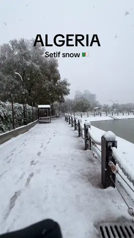 مدينة سطيف تكتسي حلة بيضاء #ثلج #سطيف #الجزائر🇩🇿 #algerie🇩🇿 #setif 
