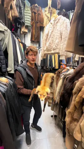 رێوی ئیشک کراوە#هەولێر_سلێمانی_دەهۆک_ڕانیه_کەرکوک #hawlier #foryou #kurdstan #hawler_slemani_dhok_karkuk_hallabja 