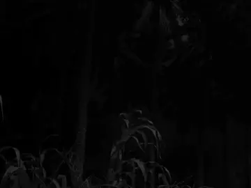 سەڵاوات لەبیر مەکەن خۆشەویستن🌹♥️ #الهم_صلی_علی_نبینا_محمد #eslam_09 #quran_alkarim #kurdistan #foryou 