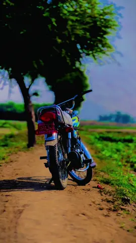 #allhamdulilah #szrfarm #fyppppppppppppppppppppppp #fyppppppppppppppppppppppp #fyppppppppppppppppppppppp 