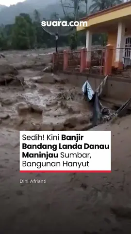 Danau Maninjau yang indah jadi begini 🥺 Danau Maninjau terletak di cekungan kawah raksasa (kaldera) yang dikelilingi bukit-bukit curam. Keindahan topografi ini menjadi daya tarik wisata—namun sekaligus menjadi titik rawan saat cuaca ekstrem melanda. Lereng-lereng terjal yang mengitari kawasan, ditambah curah hujan tinggi, mudah melahirkan longsor dan aliran banjir bandang. Dalam kondisi normal, Danau Maninjau menjadi sumber kehidupan: mata pencaharian keramba ikan, pariwisata, hingga jalur transportasi masyarakat nagari. Tetapi ketika cuaca memburuk, semua berubah drastis. Mirisnya jika cuaca memburuk ini dihadapkan pada pepohonan yang kian terkikis sehingga tidak bisa lagi menyerap dan menahan air tanah saat hujan. Semoga cepat pulih dan pemerintah jangan tutup mata. Harus ada pihak yang bertanggung jawab atas peristiwa ini 💔 #BanjirBandang #DanauManinjau #BanjirSumbar