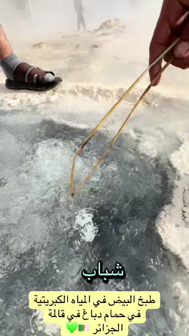 @عبدالمنعم توشي 