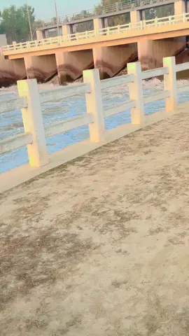 New looking TikTok team #sportstiktok team#soooomi009 #growmyacount💯💤💯💤💯⚡⚡⚡growmyacount💯 #unfreezemyaccount #1million views 