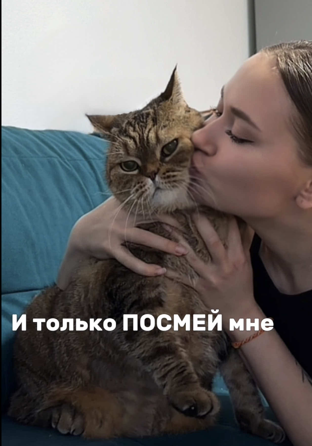 Брутальный  #котыприколы #котысмешные #кошкиюмор #котики #кошкиприколы 