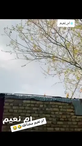 أم العلوم وأم نعيم مختاضه#ام_نعيم #🤣منوعات🤣للضحك🤣 #جيش_منوعات_للضحك #الشعب_الصيني_ماله_حل😂 #في هذا اليوم 