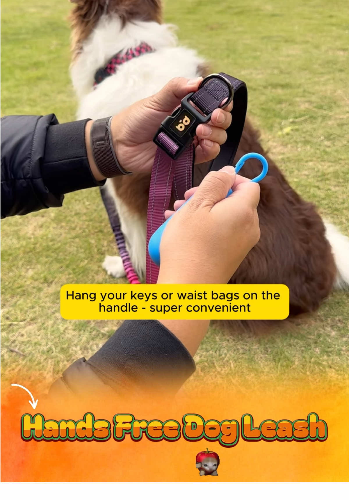 Hands-free dog walks just got easy! 🐾 Six-in-one leash keeps your pup safe and you stress-free. Don’t miss out — grab yours now! #DogLeash #PetLovers #DogWalking #HandsFreeLeash #PetSafety 