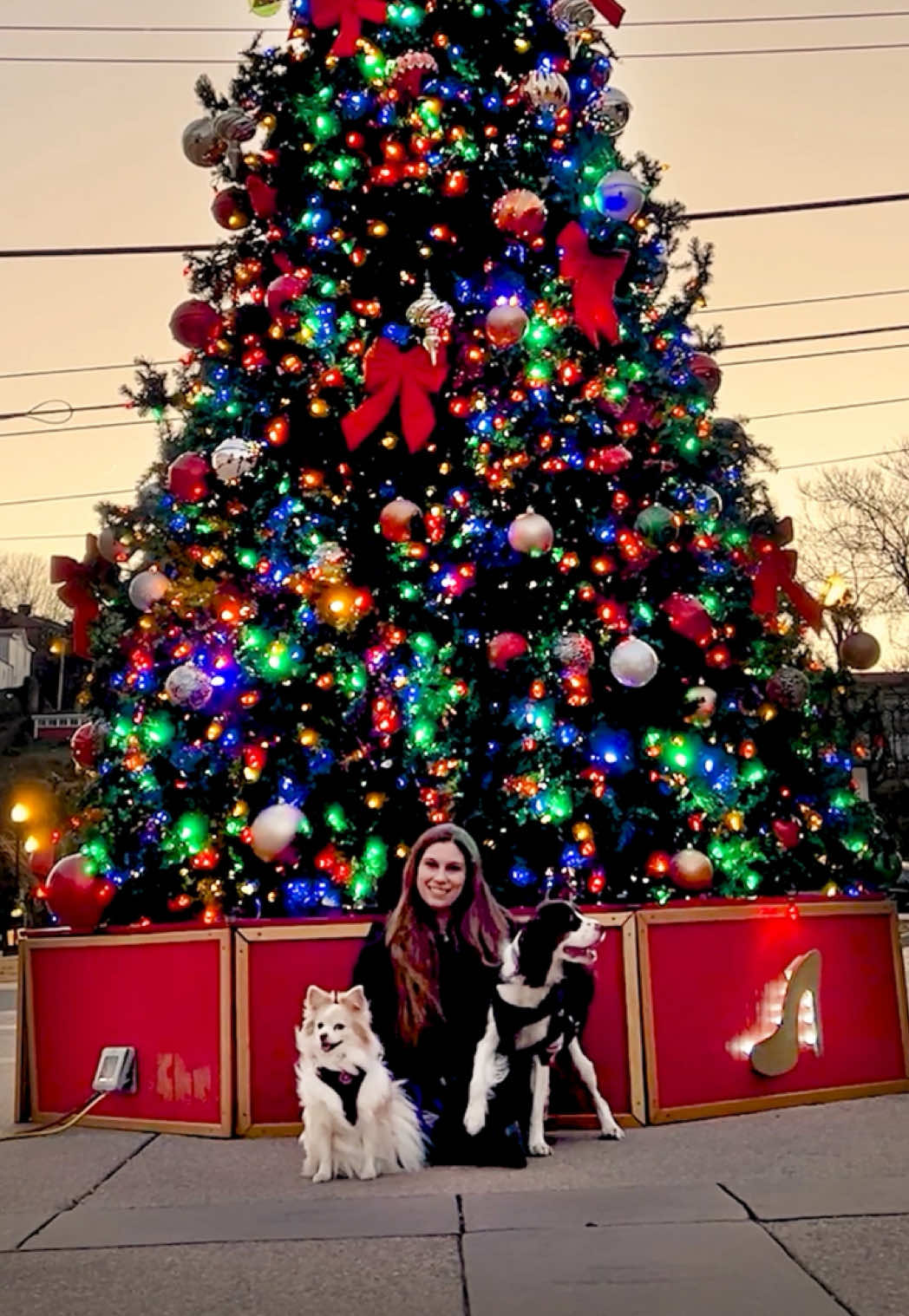 You can easily brighten your subject in front of a Christmas tree in Premiere. Duplicate the layer and click on the top one. Use the lasso tool to outline the tree and the subjects. Feather the layer mask and then go to Lumetri Color. Then brighten the exposure, darken the contrast and blacks, and adjust as needed. Now the tree and subjects pop against the darker background. Follow for more editing tips to rock the holiday season! #adobepremiere #christmasphototips #creatortips #christmastree #christmaslights 