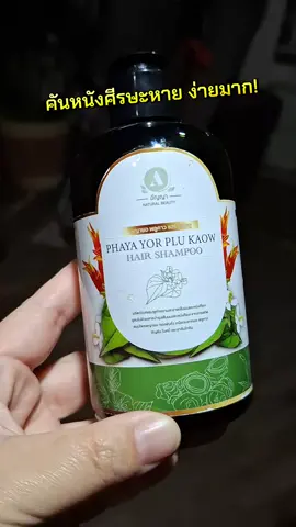 แชมพูสมุนไพร พญายอคาวพลูสมุนไพรแท้ ใช้ดี ลดคัน #แชมพูสมุนไพร #พญายอคาวพลู #ลดคันศีรษะ #ใช้ดี #สมุนไพรแท้ @ออเจ้าป้ายยา ♥️♥️♥️ @ออเจ้าป้ายยา ♥️♥️♥️ 