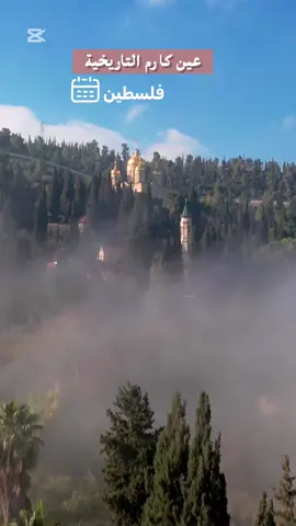 تضم عين كارم عدة أديرة وكنائس تاريخية، أبرزها كنيسة القديس يوحنا المعمدان (نبي الله يحيى، عليه السلام) التي بنيت فوق المكان الذي وُلد فيه، وكنيسة الزيارة التي بنيت على شرف زيارة السيدة مريم لخالتها اليصابات زوجة النبي زكريا ووالدة النبي يحيى 