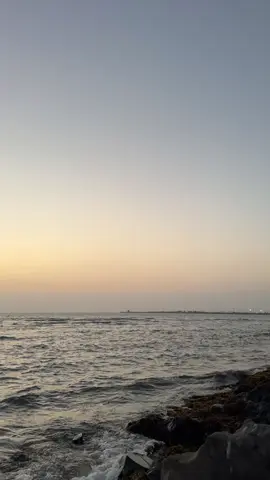 #سهام الحب #راشد الماجد #اكسبلور❤️ #fyp❤️ 