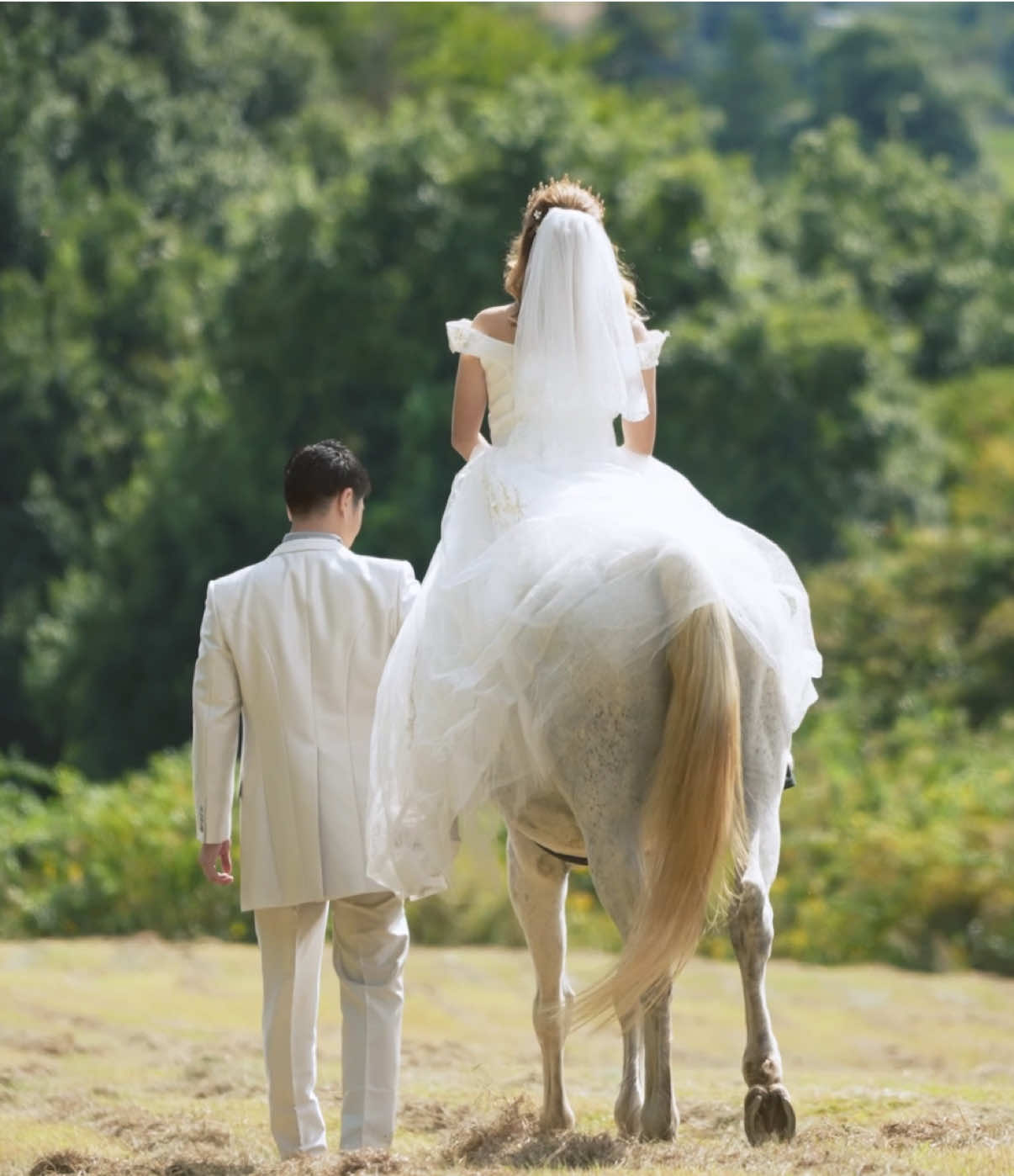 学生時代から12年付き合って 2025.11.7に結婚した 【ワイルド夫婦】です！ TikTokアカウント作りました✨ よろしくお願いします☺️❤️ 昔から、『朝起きたら白馬の王子様がおる』っていう シュチュエーションに憧れとって、 今回コーディネーターさんやカメラマンさんにお願いして、 要望通りの素敵なアングルで撮影していただきました📹✨ お馬さんも賢くてかっこよくてかわいかった〜🎠💕 素敵な前撮りが出来て幸せ🤴🏻❤️👸🏼 いつか結婚式をしたときもこの映像を流そうっ☺️❤️ #結婚式前撮り #オープニングムービー  #新婚 #白馬の王子様 #ウェディングフォト 