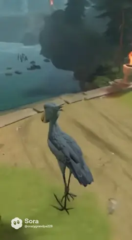 Берд гейм3 момент#bird #birdgame #birdgame3 #бердгейм#funnyvideos 