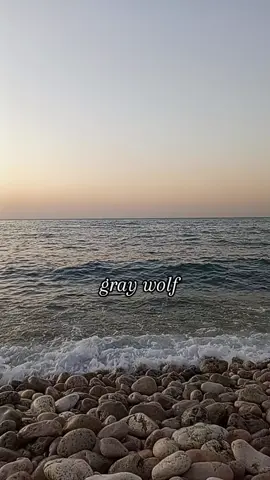 #تصويري #ذكريات #حزن #قلبي #عراق 