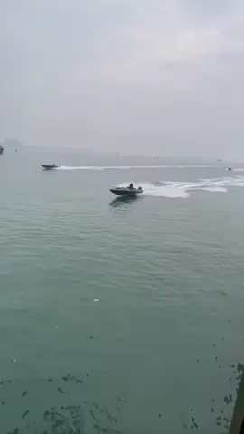 Tưởng là hẹo rồi😩😩