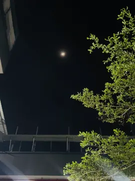 তুমি আমার সংক্ষিপ্ত গল্পের অসমাপ্ত অনুভূতি! ❤️‍🩹 #shishir_baby_69  #foryou 