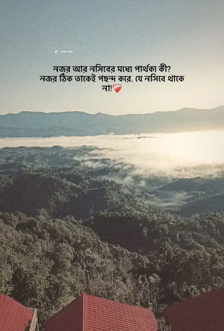 #outfit cowok berwarna #fyp