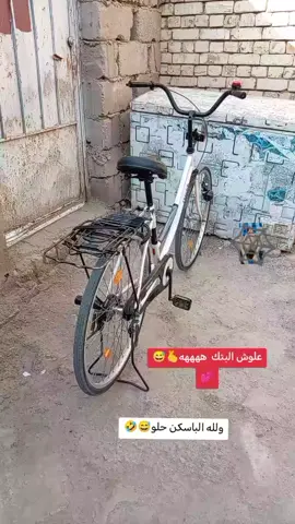 #شعب_الصيني_ماله_حل😂😂 #عنون #قانون #ولقانون #فوقالجميع👋🏻😂 