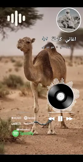 #أغاني_زغاوة_ #مشاهير_زغاوة_بري_بور_حول_العالم🌏 #أغاني_زغاوة_ 