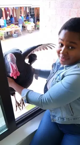 Happy Thanksgiving. #fyp #viralvideo #foryoupage #trending 