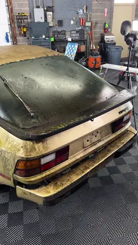 #cardetailing #carwashing #detailing #carwash #auto 