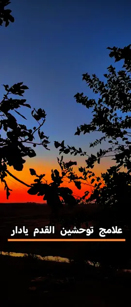 مجرد_____ذوووق❤️#علامج توحشين القدم يادار#محمودالحياني#تصويري📷 #تصميم_فيديوهات🎶🎤🎬 #تصويري_احترافي_الاجواء👌🏻🕊😴 