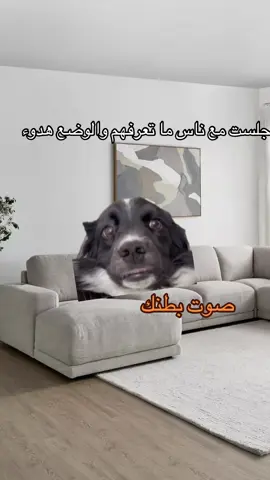 #شعب_الصيني_ماله_حل😂😂 