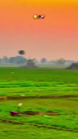 #shabanhaider1000✅🌱 #foryoupage #unfrezzmyaccount 