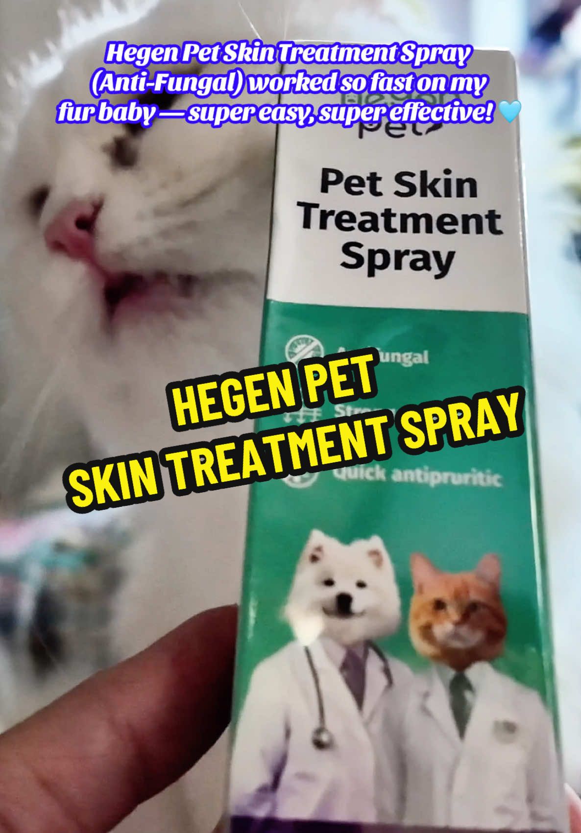 Fast relief for itchy, irritated, and fungal-infected skin! Hegen Pet Anti-Fungal Skin Treatment Spray by @cassielive helps fight fungus, reduce redness, calm itching, and support faster healing. Safe for dogs and cats, easy to use, and super effective. Keep your fur baby comfortable—grab yours now! 🐾✨ #hegenpetPH #hegenpet #petsupplies #petskintreatment #hegenpetskintreatmentspray