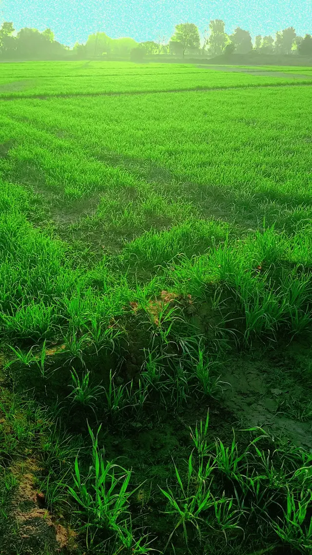 #💚💚💚💚💚 #❤❤❤❤ #veidoviral 