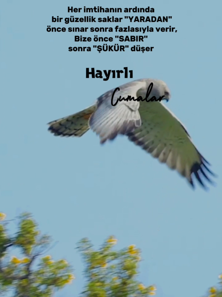 #hayırlıcumalar #cumamesajları #sabırşükürdua #hayirlicumalar #cumavideoları 