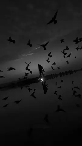 Dhuniyein keehvebaa enme beynunvaa loehbeh enmenah nulibeny 𓏲ּ𝄢 #dhivehisong #dhivehilyrics #foryoupage #fyp #viral 